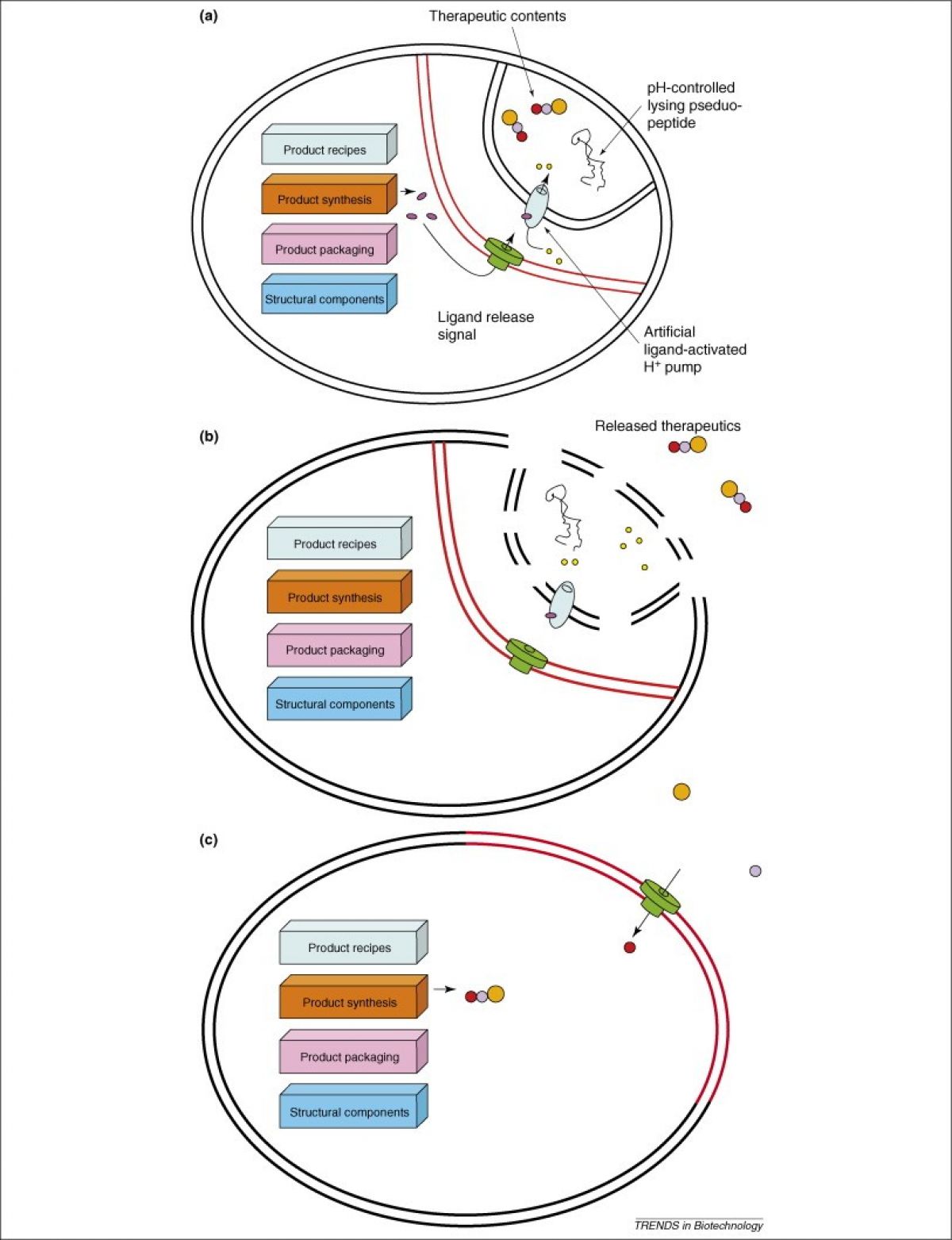 24641_artificial_gene_synthesis