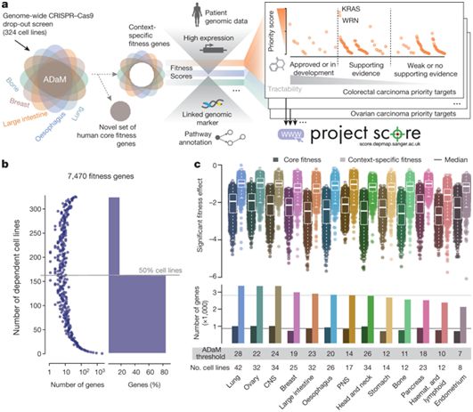 Cancer Gene Targets