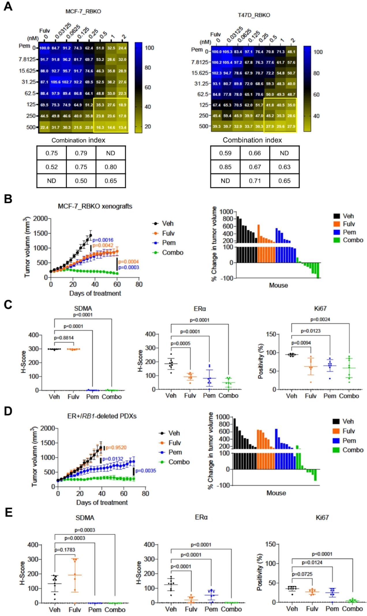 Figure 1. Combination of fulvestrant and pemrametostat synergistically inhibits growth of ER+/RB1-deficient breast cancer in vitro and in vivo. (Lin, Chang-Ching, et al. 2024)