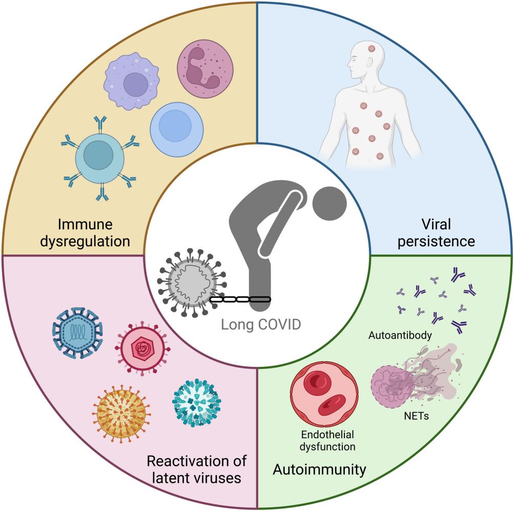 Figure 2. Mechanisms of long COVID pathogenesis.