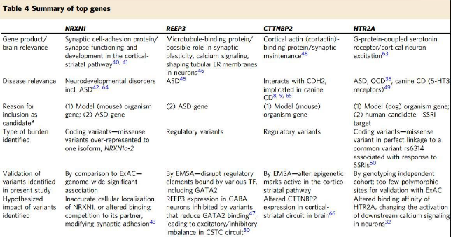 genes of obsessive compulsive disorder