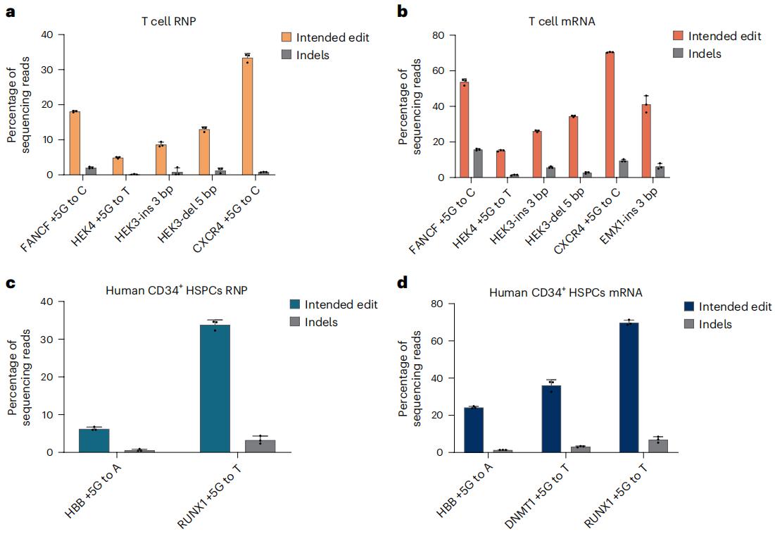 Figure 2. PE efficiencies using L-epegRNA in human primary T cells and hematopoietic stem cells.