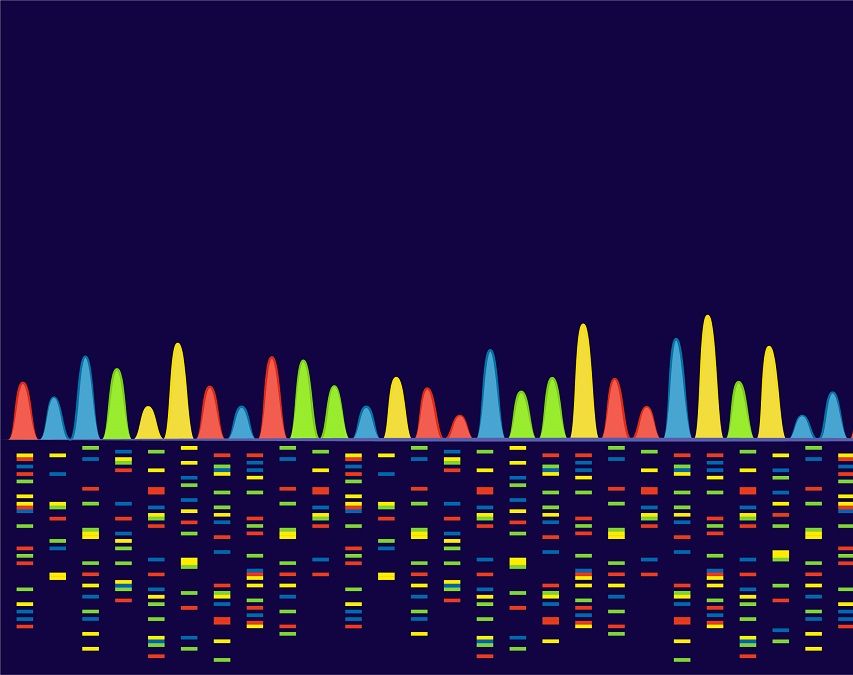 CRISPR Library Screening Service