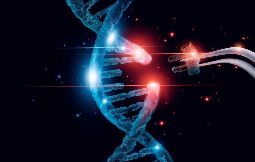 CRISPR Off-Target Effects Analysis