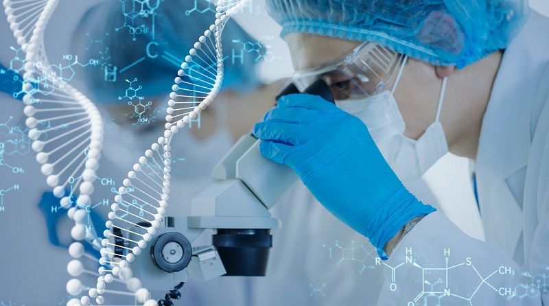 Custom Cell Lines Services