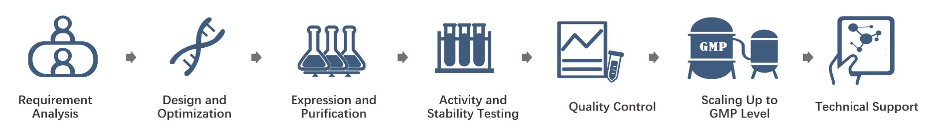 Figure 1: Creative Biogene's detailed Cas Enzyme Production Service process workflow (proprietary illustration).