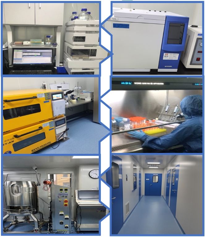 Figure 2: Figure 2 shows a real photo of Creative Biogene’s laboratory.