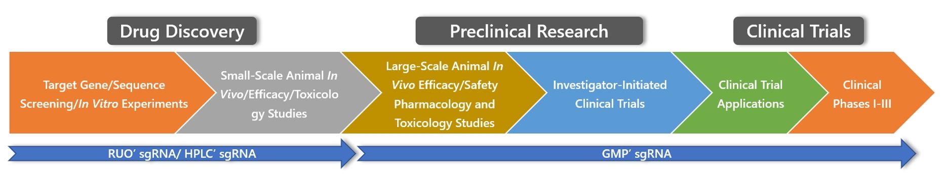 Figure 1: Creative Biogene offers a full range of sgRNA (single-guide RNA) products and services specifically designed for use in biomedical research and clinical trials.