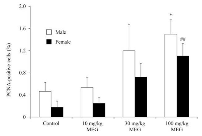 Immunohistochemical staining of PCNA in the liver of male and female gpt delta rats treated with MEG for 13 weeks.