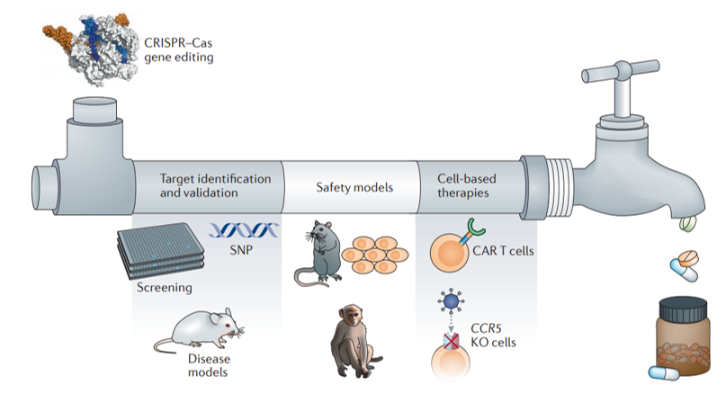  Pipeline of CRISPR–Cas-assisted drug discovery 