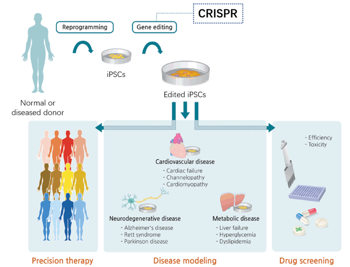 Generation of edited iPSCs and clinical applications 