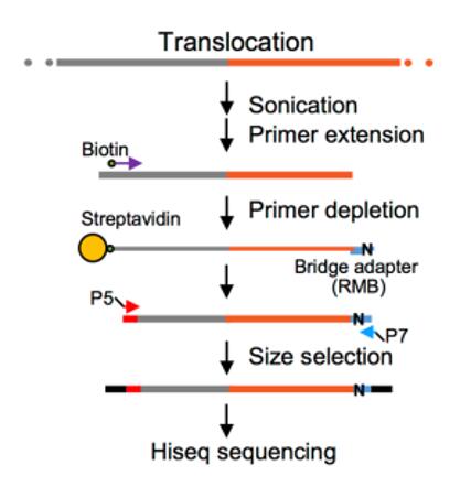 Overview of PEM-Seq method