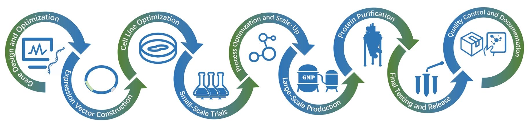 Figure 1 shows Creative Biogene’s one-stop service process for producing recombinant proteins.