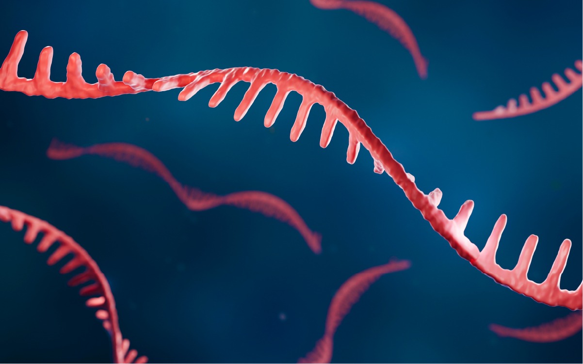 RNA