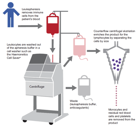 Lentiviral Vectors - the Application for CAR-T Therapies