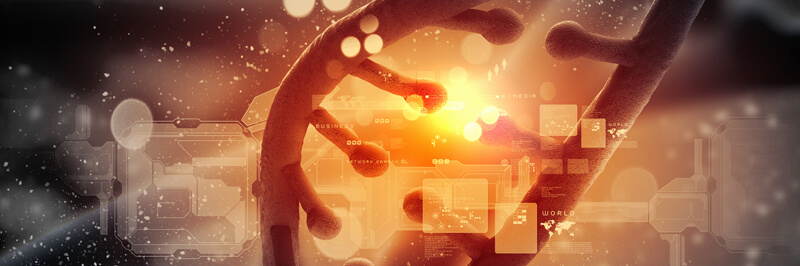 Gene Knockout Stable Cell Lines