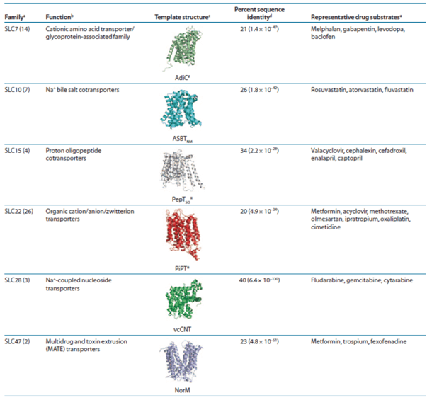 SLC Superfamily