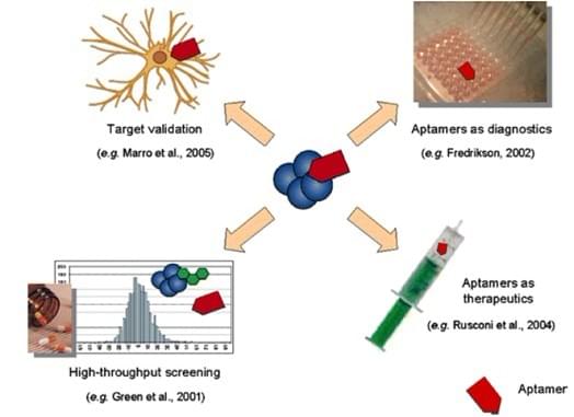 Aptamers Service