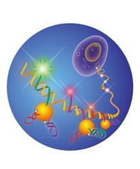 Aptamer in Biosensor