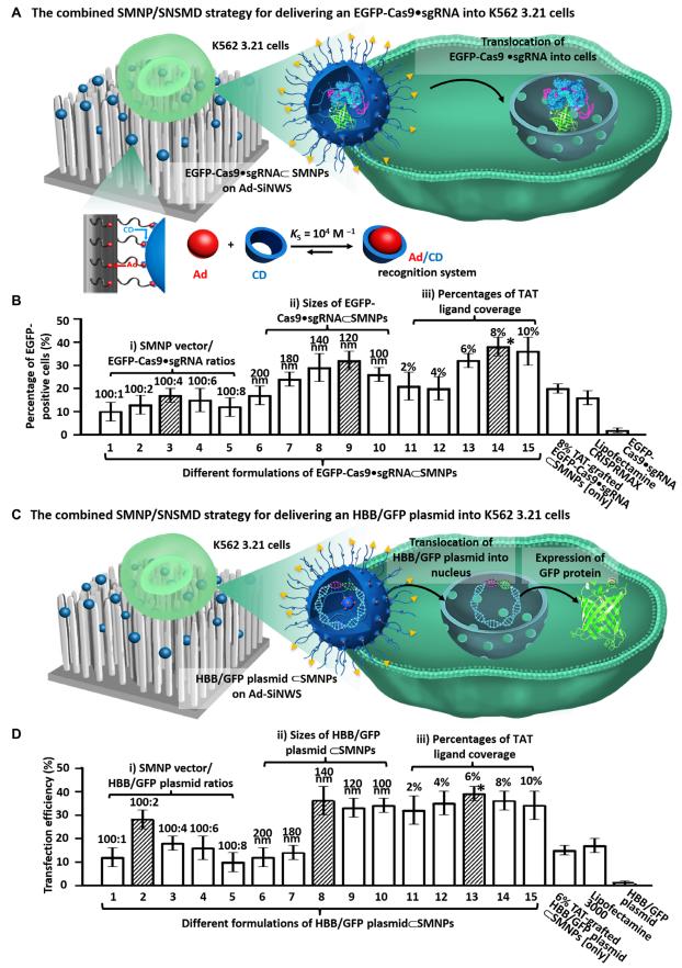 Figure 1 involves two strategies adopted by the researchers: one is a combined SMNP/SNSMD strategy to deliver EGFP-Cas9•sgRNA into K562 3.21 cells; the other is a combined SMNP/SNSMD strategy to deliver HBB/GFP plasmid into the same cells. (doi: 10.1126/sciadv.abb7107)