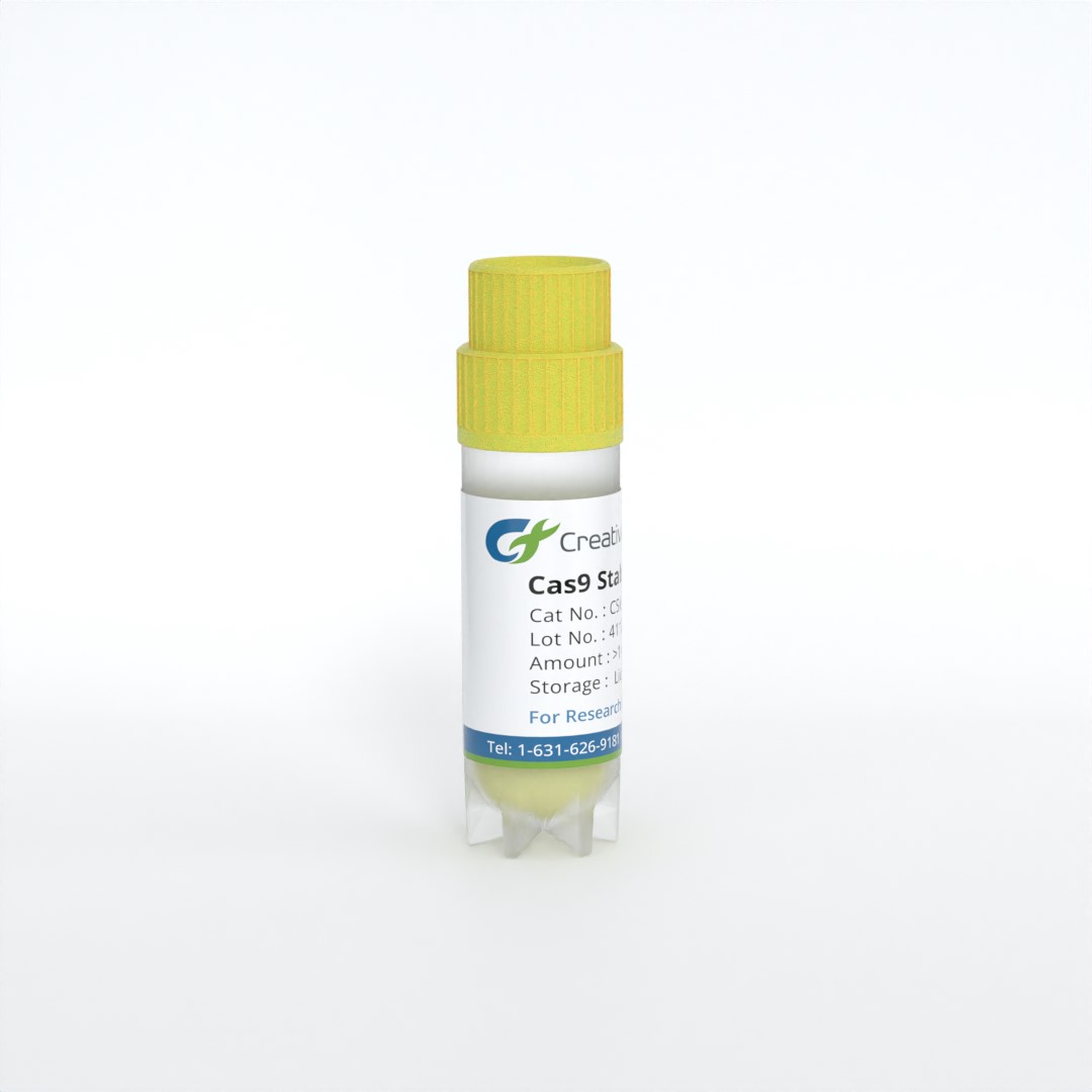 Cas9 Stable Cell Line - JIMT-1